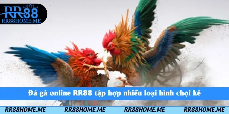 Đá Gà Online RR88 - Đấu Trường Chọi Gà Ngay Trên Điện Thoại 1 Đá gà online RR88 tập hợp nhiều loại hình chọi kê