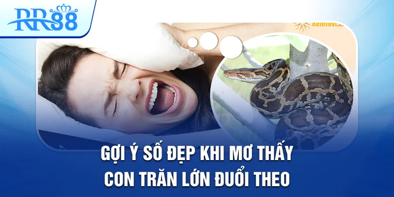 Mơ Thấy Con Trăn Lớn Tiết Lộ Những Cầu Lô Đẹp Tại RR88 3 Gợi ý số đẹp khi mơ thấy con trăn lớn đuổi theo