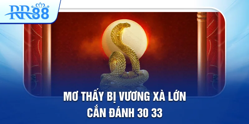 Mơ Thấy Con Trăn Lớn Tiết Lộ Những Cầu Lô Đẹp Tại RR88 2 Mơ thấy bị vương xà lớn cắn đánh: 30, 33